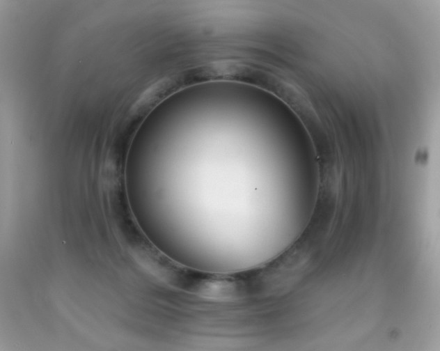 X0000091850220200709051153