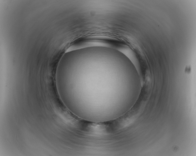 X0000091850221200709051153