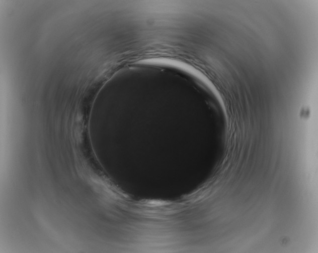 X0000091850223200709051153