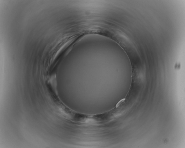X0000091850224200709051153