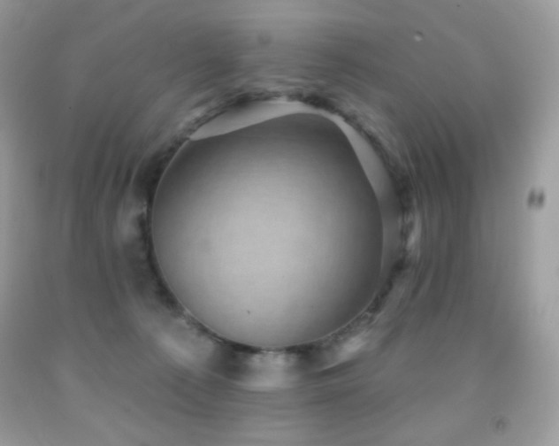 X0000091850225200709051153