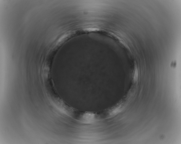 X0000091850227200709051153