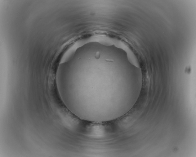 X0000091850228200709051153