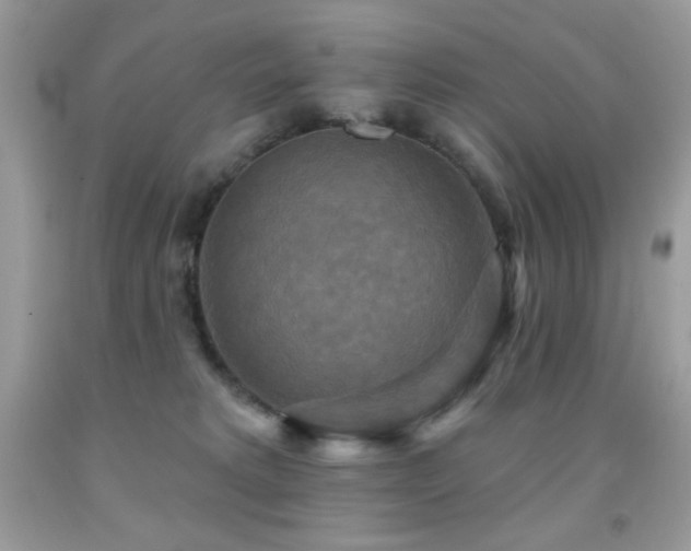 X0000091850229200709051153
