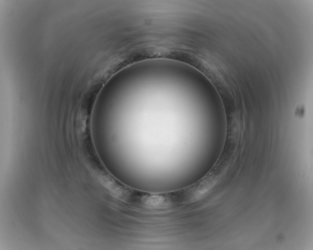 X0000091850230200709051153