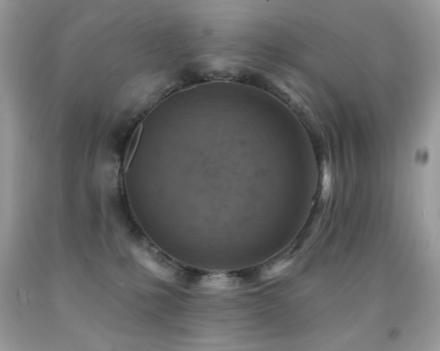 X0000091850231200709051153