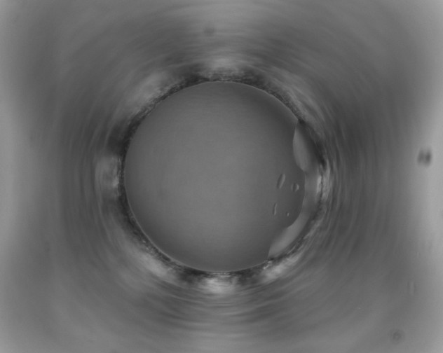 X0000091850232200709051153