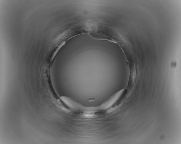 X0000091850233200709051153
