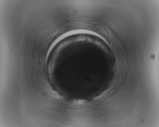 X0000091850235200709051153