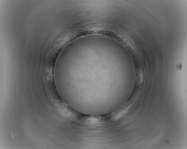 X0000091850236200709051153
