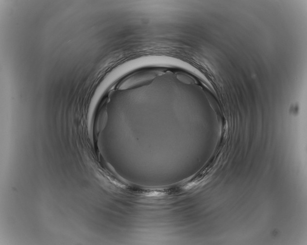 X0000091850237200709051153