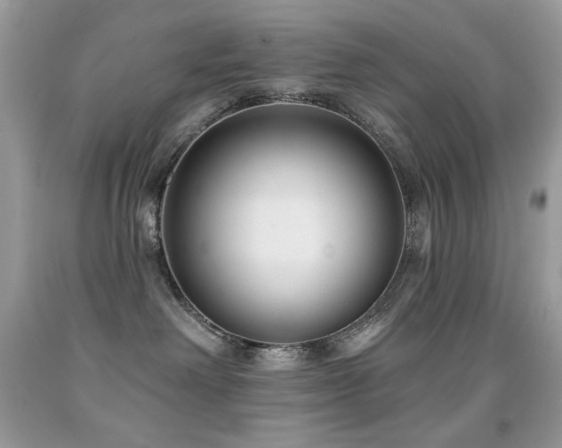 X0000091850238200709051153