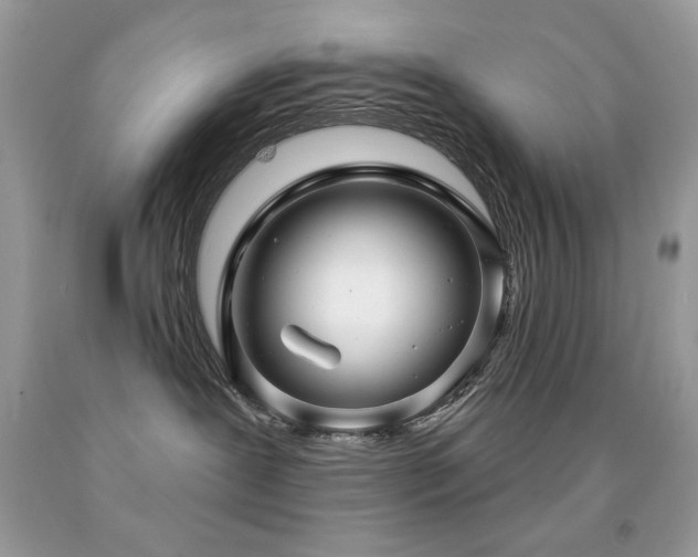 X0000091850239200709051153
