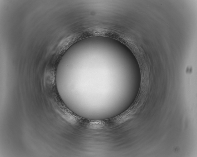 X0000091850240200709051153
