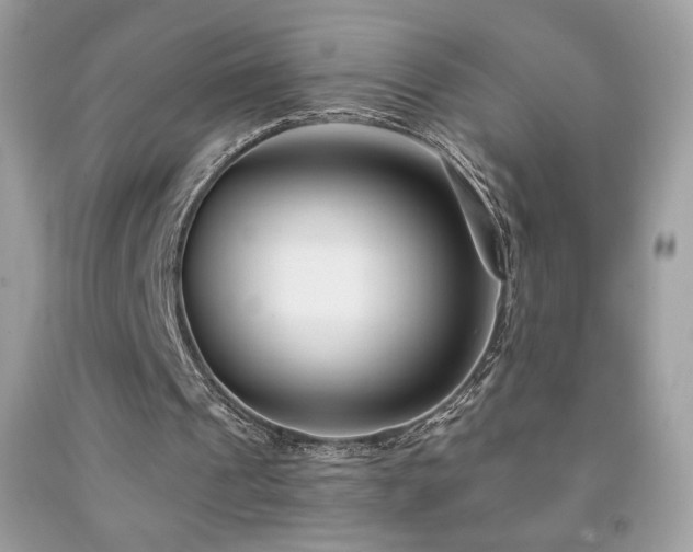X0000091850241200709051152