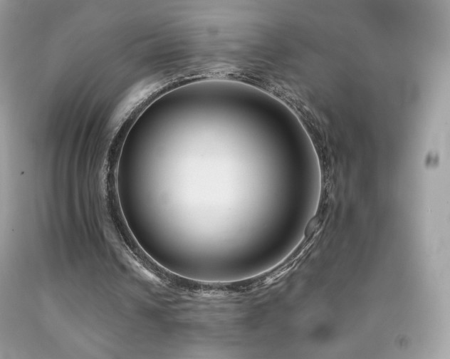 X0000091850242200709051152
