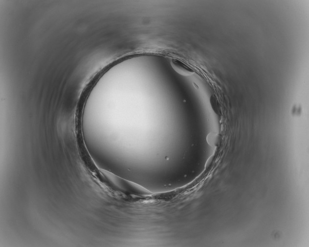 X0000091850244200709051152