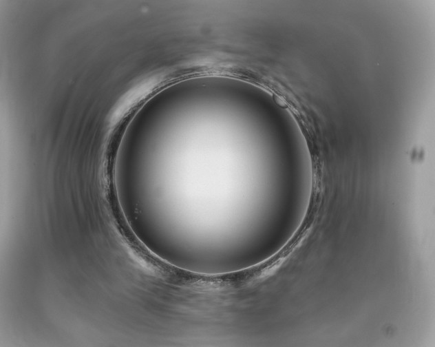 X0000091850245200709051152