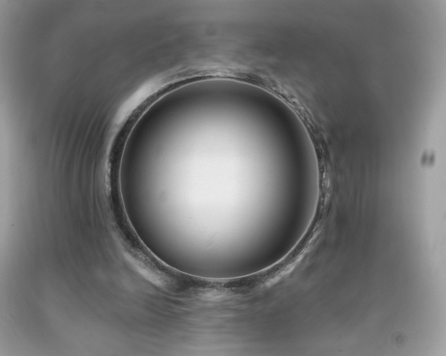 X0000091850246200709051152
