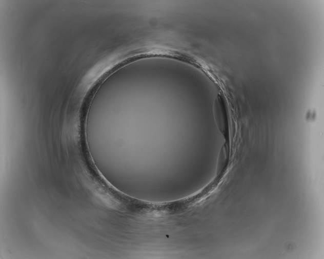 X0000091850247200709051152