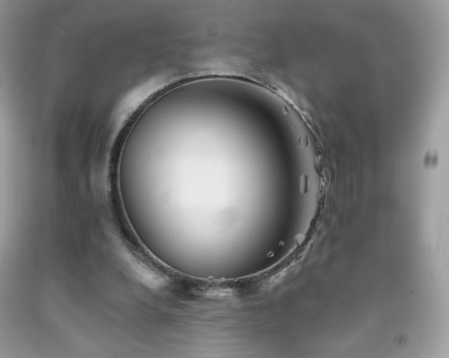X0000091850248200709051152