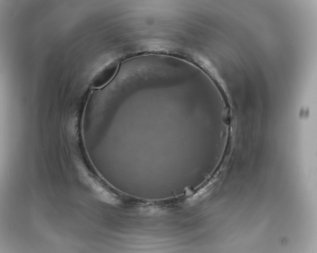X0000091850249200709051152