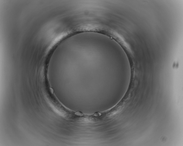 X0000091850250200709051152