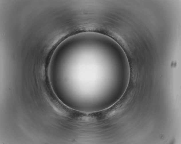 X0000091850251200709051152
