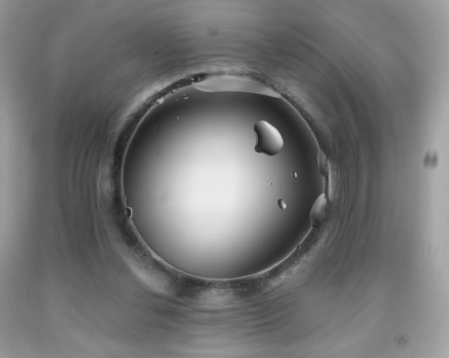 X0000091850252200709051152