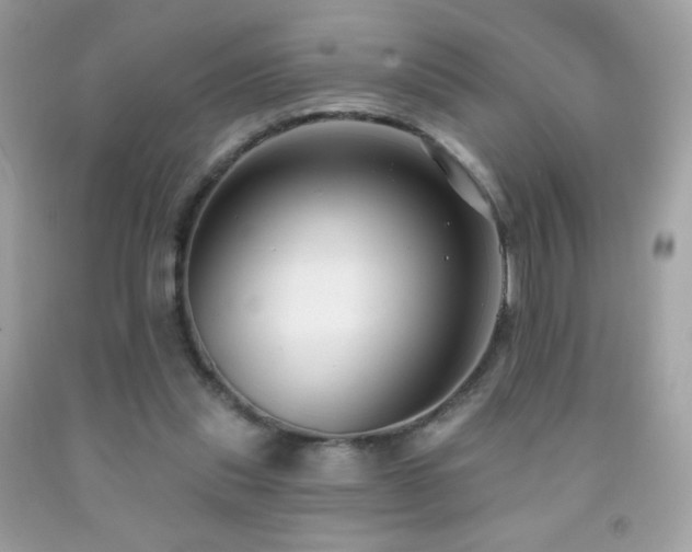 X0000091850253200709051152