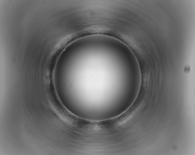 X0000091850254200709051152