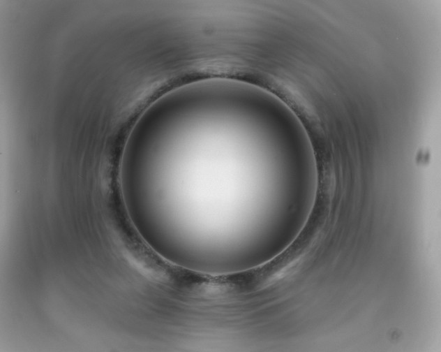 X0000091850255200709051152