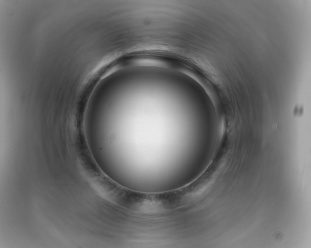 X0000091850256200709051152