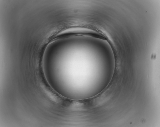 X0000091850257200709051153