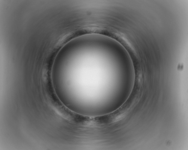 X0000091850259200709051153