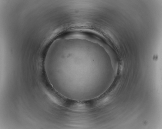 X0000091850260200709051153