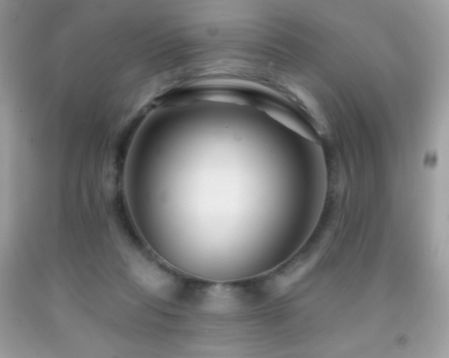 X0000091850261200709051153