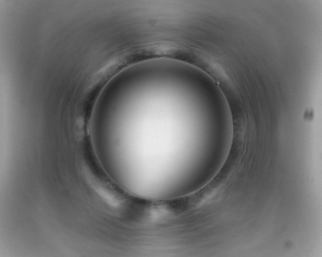 X0000091850262200709051153