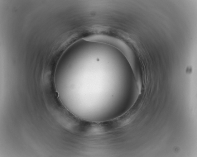 X0000091850263200709051153