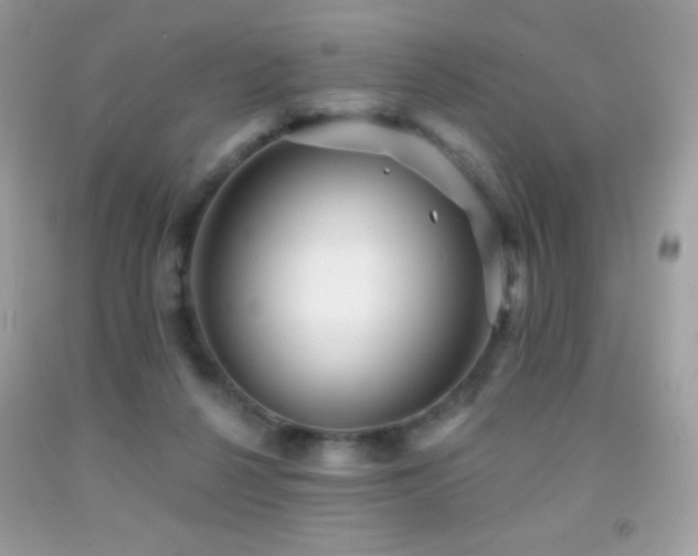 X0000091850264200709051153