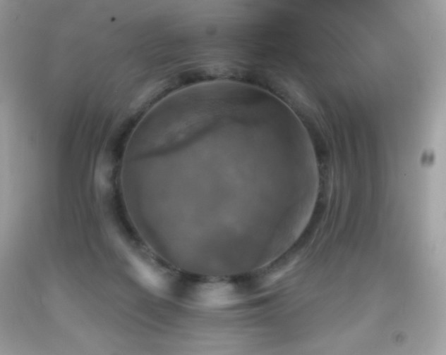 X0000091850266200709051153