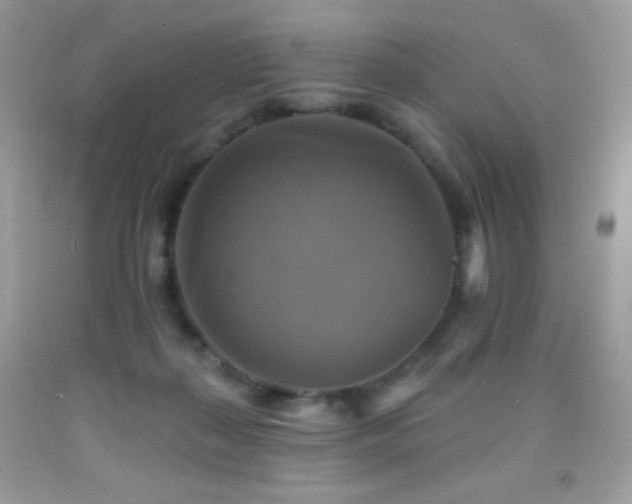 X0000091850267200709051153