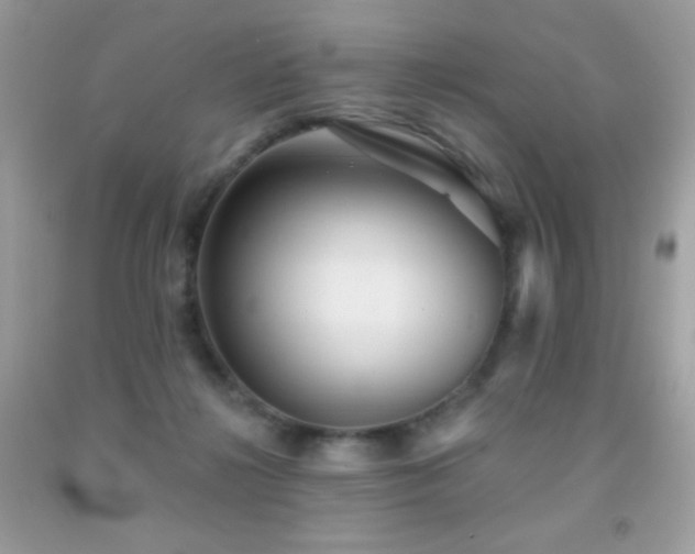 X0000091850268200709051153