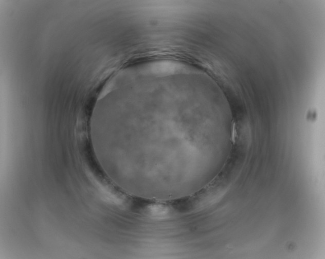 X0000091850272200709051153
