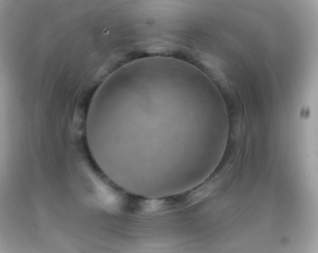 X0000091850273200709051153