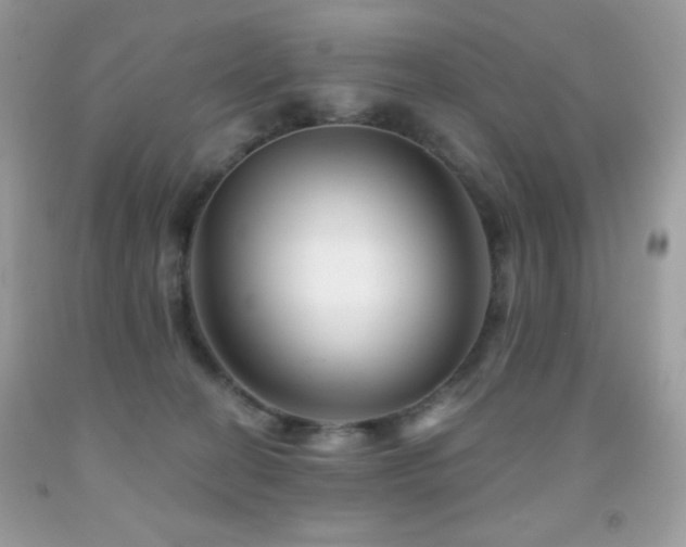 X0000091850274200709051153