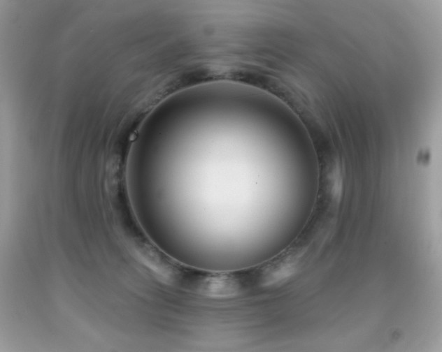 X0000091850275200709051153