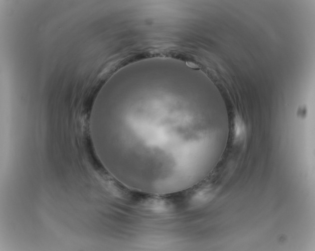 X0000091850276200709051153