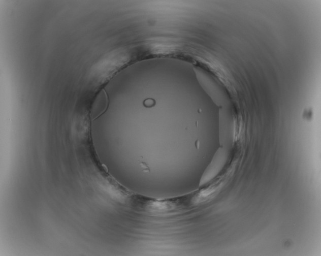 X0000091850277200709051153