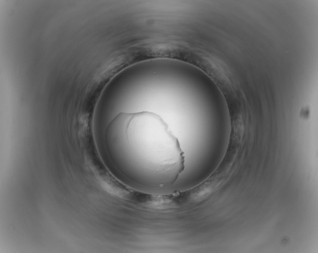 X0000091850278200709051153
